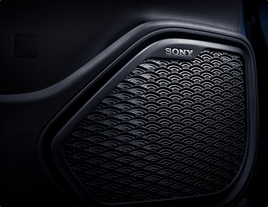 Premium 8-Speaker Sony Audio