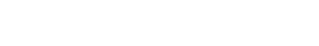 Tiggo 9